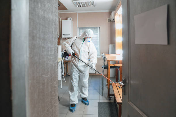 Best Mold Damage Restoration  in Bremen, GA