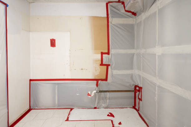 Professional Mold Removal in Bremen, GA