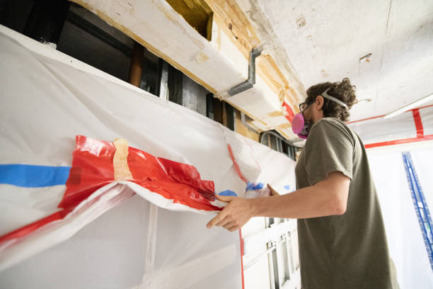 Best Basement Mold Removal  in Bremen, GA