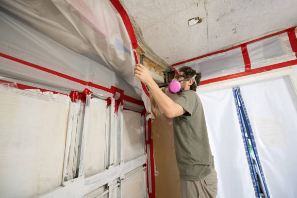 Best Black Mold Removal  in Bremen, GA