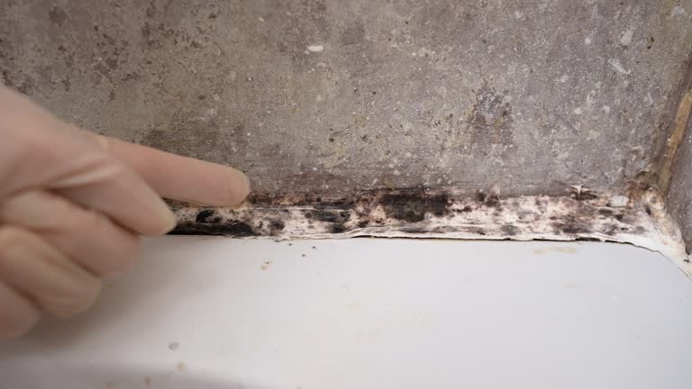 Best Comprehensive Air Testing for Mold Contaminants  in Bremen, GA